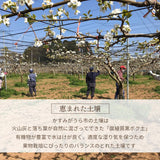 梨 【 フルーツランド外塚農園 】 甘太 3kg  5～6個 贈答用 茨城県かすみがうら市《9/下旬～10/上旬の出荷》