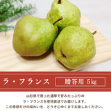 洋梨 【木村フルーツ】 洋なし ラ・フランス 約5kg ２L～5L 12～18玉 山形県上山市 ラフランス 《11/中旬～11/下旬より出荷》