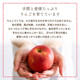 りんご 【箭内厳雄果樹園】 リンゴ 贈答用 10kg 30～32個 福島県須賀川市《11/下旬～12/上旬より出荷》