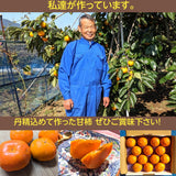 柿 甘柿 【石岡 鈴木農園】 八郷の柿 富有柿等 品種お任せ 3.5kg L 16個 茨城県石岡市《10/下旬～11/上旬より出荷》