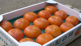 柿 甘柿 【根津農園】 富有柿 石和の柿 3.5kg 13～15個 家庭用 山梨県笛吹市 種なし かき《10/下旬～11/上旬の出荷》