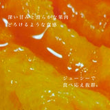 メロン 【OTM出荷組合】 レノン 2L 5玉 糖度15度以上 贈答用 茨城県鉾田市 《5/中旬～5/下旬より出荷》