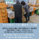 洋梨 【スミヤ果樹園】 洋なし ラ・フランス 約2kg 特秀 ２L～４L 5～7玉 贈答用 山形県上山市 ラフランス 《11/上旬～11/中旬より出荷》