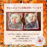 干し柿 【種まきうさぎ】 五十沢 種無し あんぽ柿  600g 12個 家庭用 ポスト投函 福島県伊達 《12/20頃～12/下旬より出荷》
