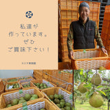 洋梨 【スミヤ果樹園】 洋なし ラ・フランス 約2kg 特秀 ２L～４L 5～7玉 贈答用 山形県上山市 ラフランス 《11/上旬～11/中旬より出荷》