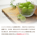 ぶどう 【箭内厳雄果樹園】 シャインマスカット 約1.8kg 2～３房 福島県 《10/上旬～10/中旬の出荷》