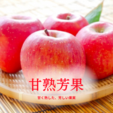 りんご 【箭内厳雄果樹園】 リンゴ 家庭用 5kg 福島県須賀川市《11/下旬～12/上旬より出荷》