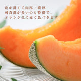 メロン 【OTM出荷組合】 レノン 2L 5玉 糖度15度以上 贈答用 茨城県鉾田市 《5/中旬～5/下旬より出荷》
