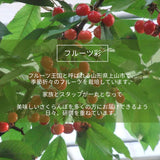 さくらんぼ 【フルーツ彩】 佐藤錦 500g×2P 1kg ML 山形県上山市  《6/中旬～6/下旬の出荷》