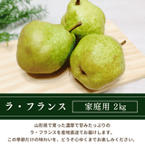洋梨 【木村フルーツ】 洋なし ラ・フランス 家庭用 訳あり 約2kg 山形県上山市 ラフランス《11/中旬～11/下旬より出荷》