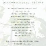 ぶどう 【境果樹園】 富士の輝き シャインマスカット 1~2房ずつ 約1kg 長野県須坂市 《10/上旬～10/中旬より出荷》