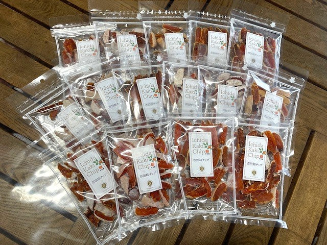 干柿 【市田屋】市田柿 チップ スティック ひとくち 100g×15袋 半生 ドライフルーツ セミドライ 柿チップ 干し柿 ほしがき 国産 長野県 信州