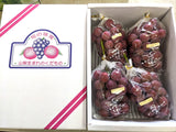 ぶどう 【ﾌﾙｰﾂﾌｧｰﾑいしくら】 葡萄 クイーンニーナ 4～6房 2.8kg 高糖度 山梨県笛吹市 《8月17日頃～8月下旬より出荷》