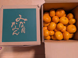みかん 【みかん屋かみん】4kg サイズ不揃い 家庭用 静岡県浜松市 《11/上旬～中旬より出荷》