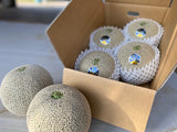 メロン 【メロンの村田】 アンデスメロン 4玉 3L 糖度16前後 贈答用 母の日 茨城県鉾田市 《5/上旬～5/中旬より出荷》