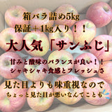 りんご 【有我果樹園】 リンゴ 家庭用 5kg バラ積め 保証+1㎏入 福島県 須賀川市《2/上旬～2/中旬より出荷》