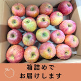りんご 【有我果樹園】 リンゴ 家庭用 5kg バラ積め 保証+1㎏入 福島県 須賀川市《2/上旬～2/中旬より出荷》