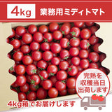 トマト 業務用 中玉トマト ミディトマト 4㎏ 滋賀県  11/中旬～7/中旬の販売