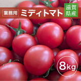 トマト 業務用 中玉トマト ミディトマト 8㎏ 滋賀県  11/中旬～7/中旬の販売