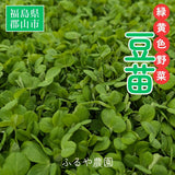 豆苗 【ふるや農園】 常温便 根なし 70g×30袋 2.1kg 業務用 福島県 当日収穫 新鮮