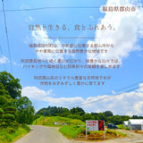 豆苗 【ふるや農園】 クール便 根なし 70g×30袋 2.1kg 業務用 福島県 当日収穫 新鮮