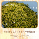 豆苗 【ふるや農園】 常温便 根なし 70g×30袋 2.1kg 業務用 福島県 当日収穫 新鮮