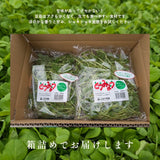 豆苗 【ふるや農園】 常温便 根なし 70g×30袋 2.1kg 業務用 福島県 当日収穫 新鮮