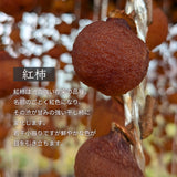 干し柿 【フルーツ彩】 紅干し柿 吊るし柿 2Lサイズ 32果綴り 約1.2kg 山形県上山市 干柿《12/中旬～12/下旬より出荷》