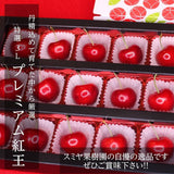 さくらんぼ 【スミヤ果樹園】 紅王 特秀 3L 15粒 プレミアム 山形県《6/中旬～6/下旬の出荷》