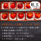 さくらんぼ 【スミヤ果樹園】 紅王 特秀 3L 15粒 プレミアム 山形県《6/中旬～6/下旬の出荷》