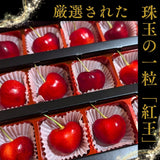 さくらんぼ 【スミヤ果樹園】 紅王 特秀 3L 15粒 プレミアム 山形県《6/中旬～6/下旬の出荷》