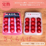 さくらんぼ 【ひかりグループ】 食べ比べ 紅王 紅秀峰 3L 12粒ずつ  山形県《6/中旬～6/下旬の出荷》