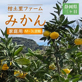 みかん 【柑土里ファーム】 三ヶ日みかん 青島 8㎏ サイズ不揃い 家庭用 糖度12度前後 静岡県 三ヶ日 《1/下旬～2/上旬より出荷開始》