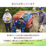 みかん 【柑土里ファーム】 三ヶ日みかん 青島 2㎏ サイズ不揃い 家庭用 糖度12度前後 静岡県 三ヶ日 《1/下旬～2/上旬より出荷開始》