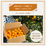 みかん 【柑土里ファーム】 三ヶ日みかん 青島 2㎏ M~2L混合 糖度12度前後 静岡県 三ヶ日 《1/下旬～2/上旬より出荷開始》