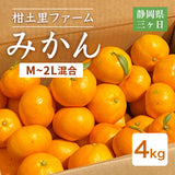 みかん 【柑土里ファーム】 三ヶ日みかん 青島 4㎏ M~2L混合 糖度12度前後 静岡県 三ヶ日 《1/下旬～2/上旬より出荷開始》