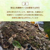 みかん 【柑土里ファーム】 三ヶ日みかん 2㎏ S~L混載(SM多め)  糖度12度前後 静岡県 三ヶ日 《11/下旬～12/上旬より出荷開始》