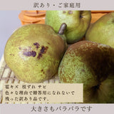 洋梨 【羽田梨園】 ラ・フランス 5kg　訳あり ご家庭用 福島県 萱場 洋ナシ《11/上旬～11/中旬出荷》