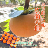 柿 甘柿 【フルーツファームいしくら】 富有柿等 皇室献上の味 広瀬の柿 4kg 3L 13個 山梨県笛吹市 種なし かき《10/下旬～11/上旬の出荷》