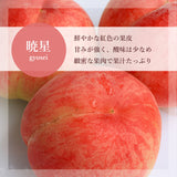 桃 【伊達農園】 品種お任せ 暁星 あかつき 川中島 2kg 5～8個 もも 福島県 伊達市 《7/中旬～7/下旬より出荷》