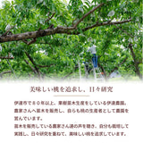 桃 【伊達農園】 品種お任せ 暁星 あかつき 川中島 2kg 5～8個 もも 福島県 伊達市 《7/中旬～7/下旬より出荷》