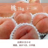 桃 【伊達農園】 品種お任せ 暁星 あかつき 川中島 3kg 8～12個 もも 福島県 伊達市 《7/中旬～7/下旬より出荷》