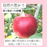 りんご 【 原農園 】 リンゴ サンふじ 大玉 10kg 20～28個 贈答用 長野県 松川町 ふじ 《11/下旬～12/上旬より出荷》