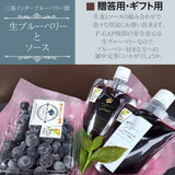ブルーベリー 【三春インターブルーベリー園】 生ブルーベリー 200g 大粒 ソース 200g×2 朝採 国産 福島県三春町 お中元 御中元 贈答用 《6/下旬～7/上旬より出荷》