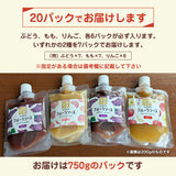フルーツソース 桃 りんご ぶどう 業務用 15kg (750g×選べる20袋) 福島県産