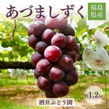 ぶどう 【酒井ぶどう園】 葡萄 あづましずく 約1.2kg 2～4房 福島県伊達市《8/下旬～9/上旬より出荷》