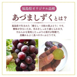 ぶどう 【酒井ぶどう園】 葡萄 あづましずく 約1.2kg 2～4房 福島県伊達市《8/下旬～9/上旬より出荷》