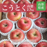 りんご 【ひかりグループ】 高徳 こうとく 2.7kg 8～16個 山形県 《11/中旬～11/下旬より出荷》