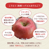 りんご 【ひかりグループ】 高徳 こうとく 2.7kg 8～16個 山形県 《11/中旬～11/下旬より出荷》