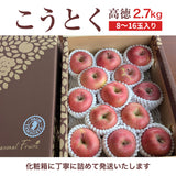 りんご 【ひかりグループ】 高徳 こうとく 2.7kg 8～16個 山形県 《11/中旬～11/下旬より出荷》